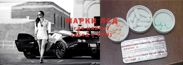 PSILOCYBIN Вуктыл