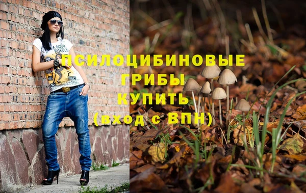 амф Остров