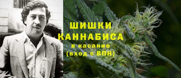 крисы Пестово